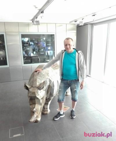 PAWEL, Mężczyzna, 45, 's-Hertogenbosch, Holandia, Zdjęcie: 4