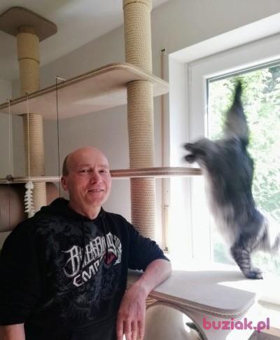 bogdan, Male, 64, Ingolstadt, Niemcy, Photo: 15