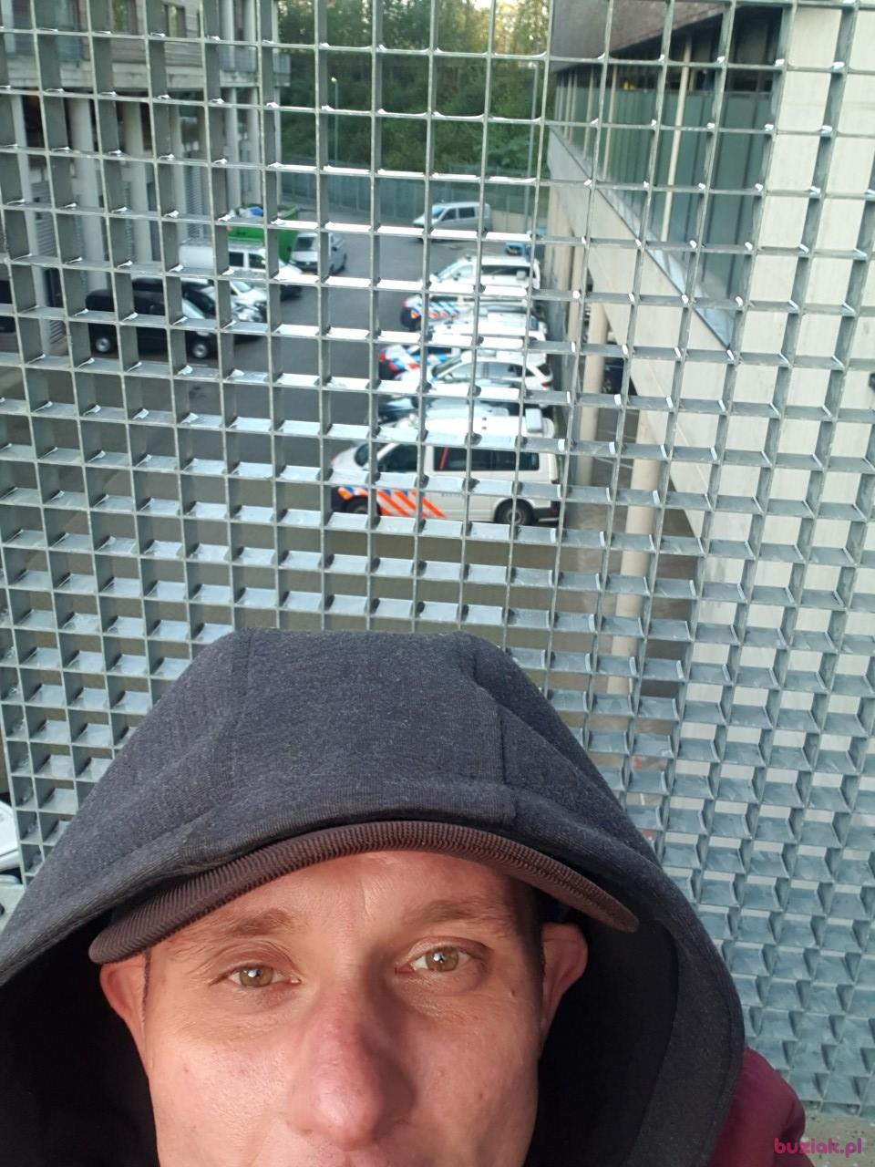 Dawid, Mężczyzna, 38, Nijmegen, Holandia, Zdjęcie: 2