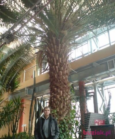 paweł, Mężczyzna, 59, Kraków, Polska, Zdjęcie: 1