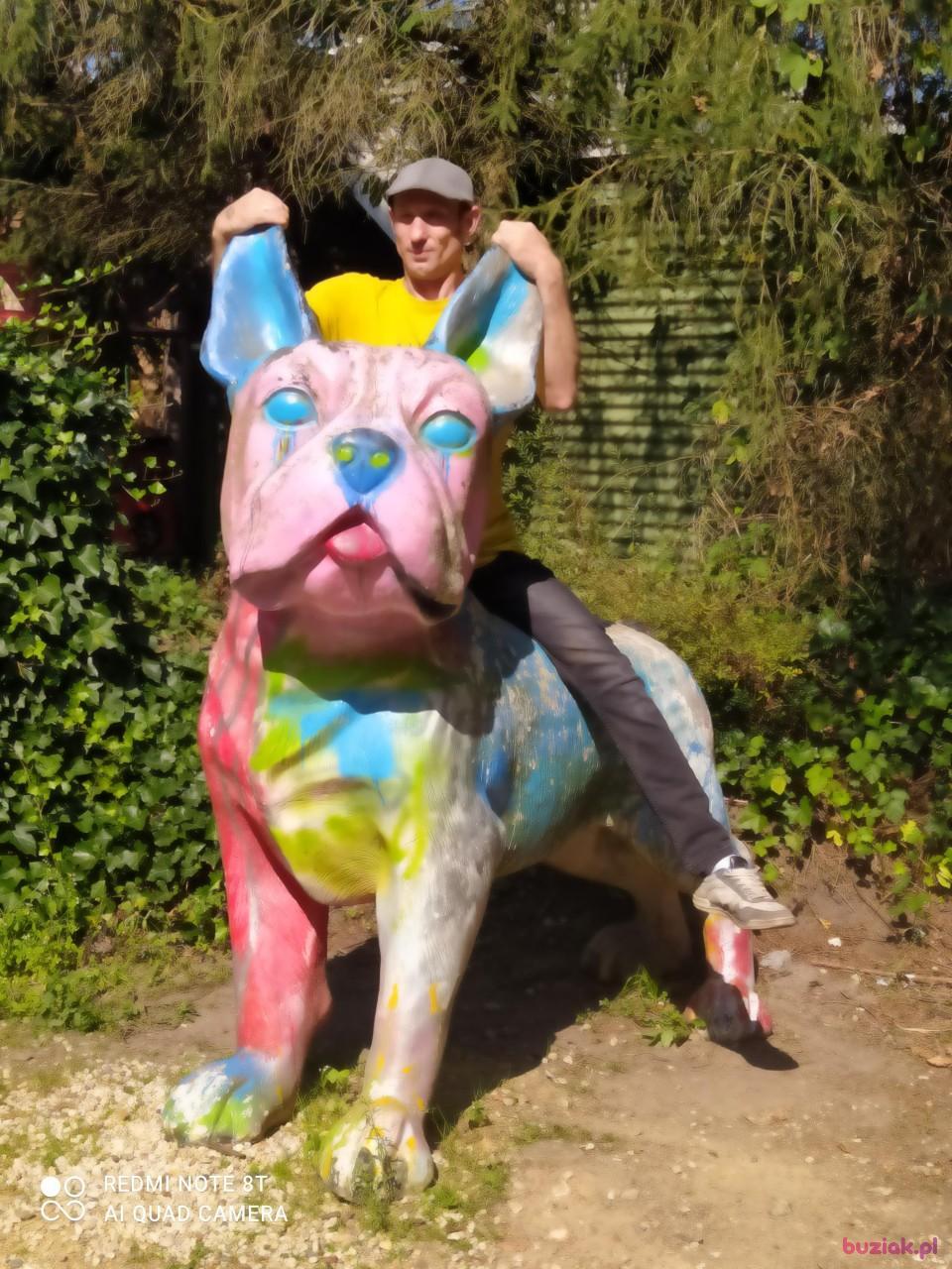 Tomasz, Mężczyzna, 49, Arcen, Holandia, Zdjęcie: 2