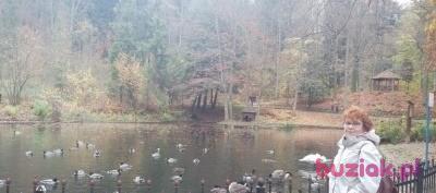 Anna, Kobieta, 72, Warszawa, Polska, Zdjęcie: 4