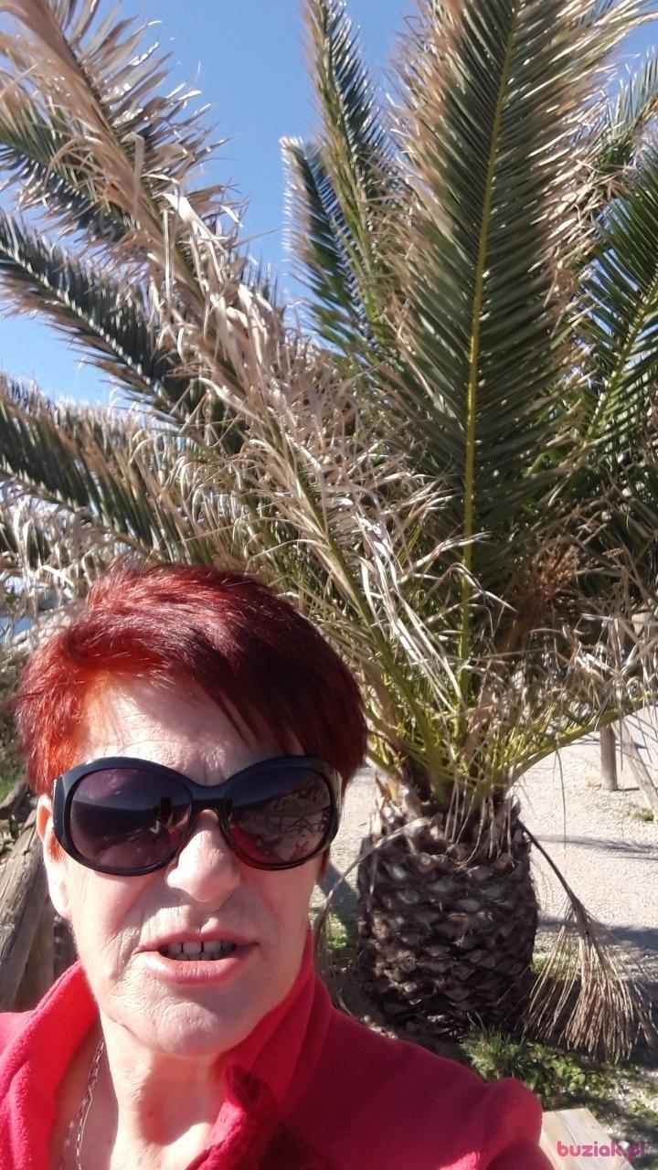 Jadzia, Female, 69, Biłgoraj, Polska, Photo: 11