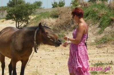 ewa, Female, 61, Katowice, Polska, Photo: 4