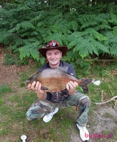 Marek, Mężczyzna, 56, Niemcy, Zdjęcie: 3