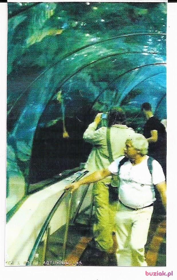 janusz, Mężczyzna, 77, Konstancja, Niemcy, Zdjęcie: 4