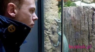 Gniewomir, Male, 35, Katowice, Polska, Photo: 2