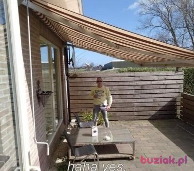 Adam, Mężczyzna, 41, Haarlem, Holandia, Zdjęcie: 4
