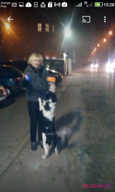 Gracja, Female, 60, Opole, Polska, Photo: 2