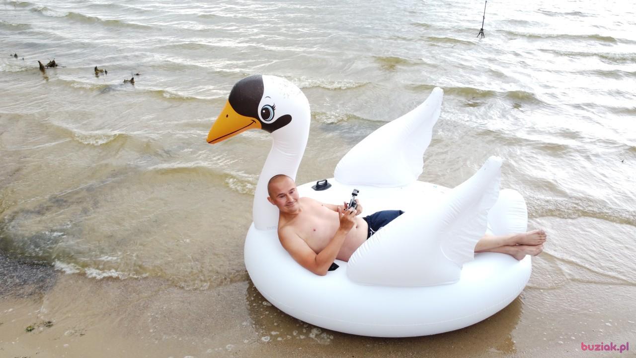 Michał, Male, 37, Zgierz, Polska, Photo: 562