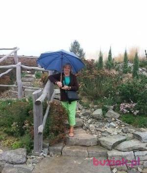 Halina, Female, 81, Mikołów, Polska, Photo: 5