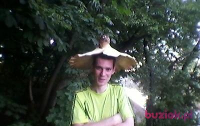 Grzegorz, Mężczyzna, 38, Elbląg, Polska, Zdjęcie: 4