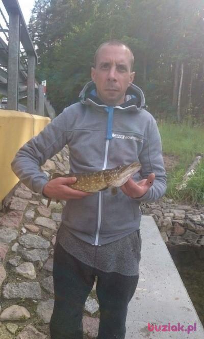 Piotr, Mężczyzna, 41, Warszawa, Polska, Zdjęcie: 3