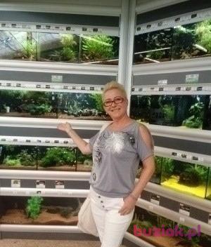 Żaneta, Kobieta, 54, Kożuchów, Polska, Zdjęcie: 2