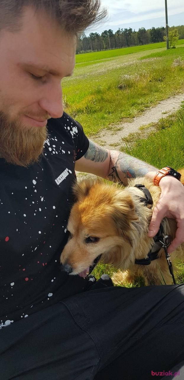 Krzysiek, Mężczyzna, 37, Iłowa, Polska, Zdjęcie: 3