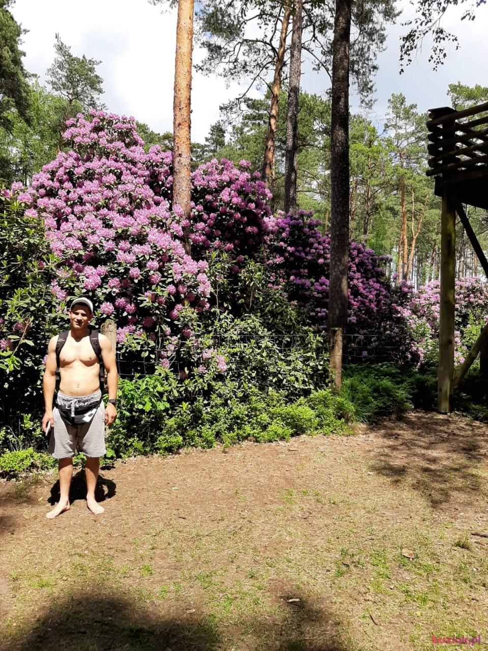 Kamil, Male, 36, Rastatt, Niemcy, Photo: 5
