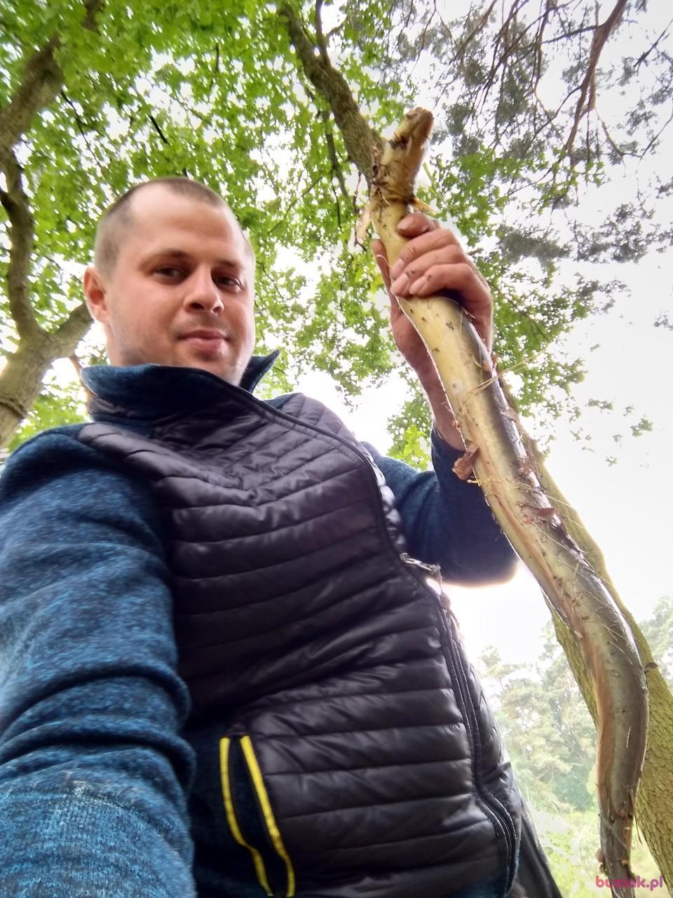 Łukasz, Male, 36, Łęknica, Polska, Photo: 5