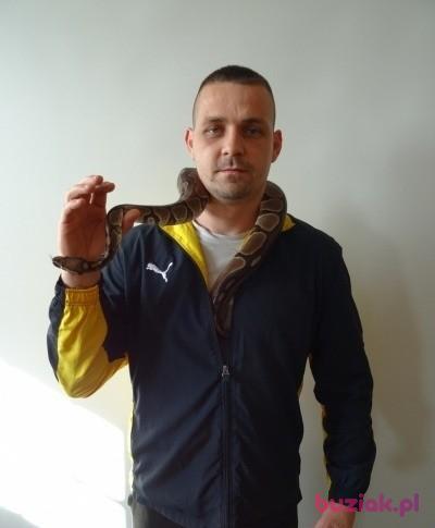 bartosz, Mężczyzna, 39, Włocławek, Polska, Zdjęcie: 3