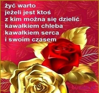 Tomasz, Mężczyzna, 61, Warszawa, Polska, Zdjęcie: 4