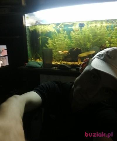 artur, Male, 36, Wrocław, Polska, Photo: 4