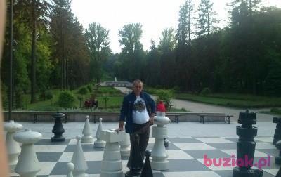 ZBIGNIEW, Male, 60, Wołczyn, Polska, Photo: 2