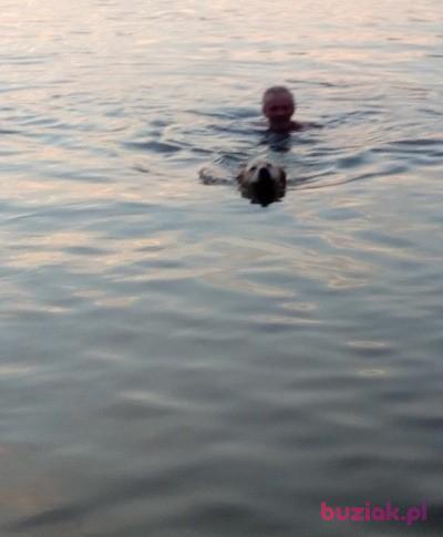 Krzysztof, Male, 51, Łódź, Polska, Photo: 11