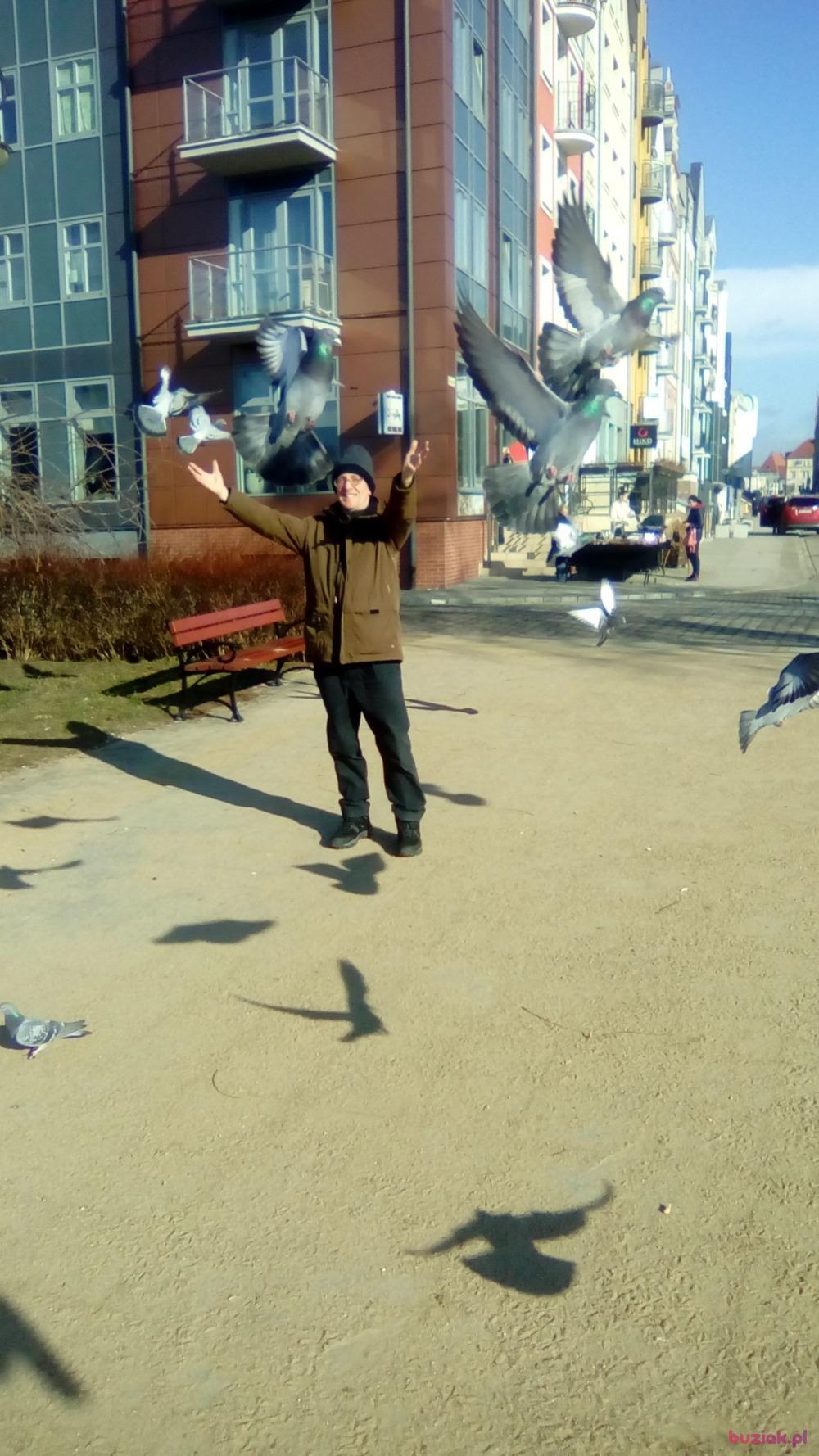 Grzegorz , Mężczyzna, 65, Elbląg, Polska, Zdjęcie: 3