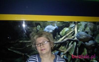 Marysia, Kobieta, 71, Zduńska Wola, Polska, Zdjęcie: 3