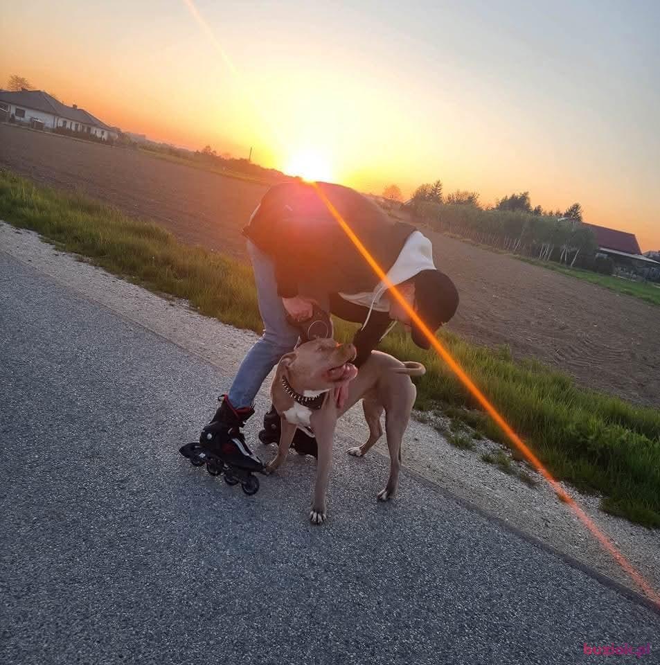 Kacper, Mężczyzna, 23, 's-Hertogenbosch, Holandia, Zdjęcie: 2