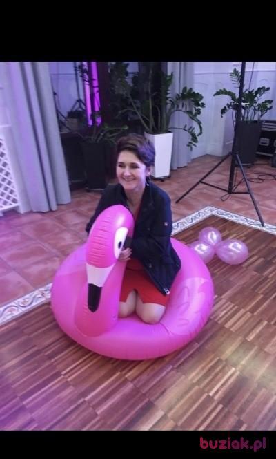 Renata, Kobieta, 57, Frankfurt, Niemcy, Zdjęcie: 4