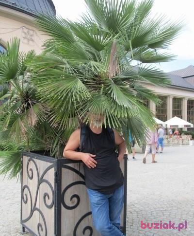 Jerzy, Male, 61, Gdańsk, Polska, Photo: 1