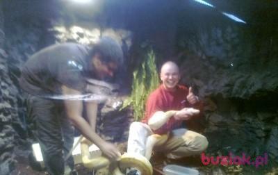 Bartek, Mężczyzna, 42, Wielka Brytania, Zdjęcie: 5