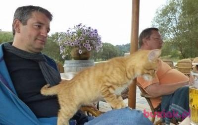 samharrison, Mężczyzna, 63, Grassy Key, USA, Zdjęcie: 4