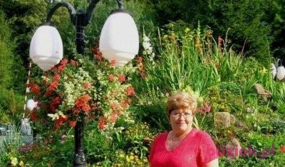 Wrzos19, Female, 74, Polska, Photo: 1