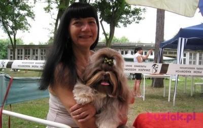 Małgorzata, Kobieta, 62, Kalisz, Polska, Zdjęcie: 4