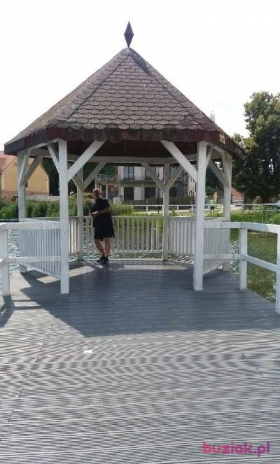 Grzegorz, Mężczyzna, 52, Gorzów Wielkopolski, Polska, Zdjęcie: 4
