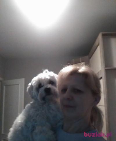 NADIA, Kobieta, 60, Warszawa, Polska, Zdjęcie: 4