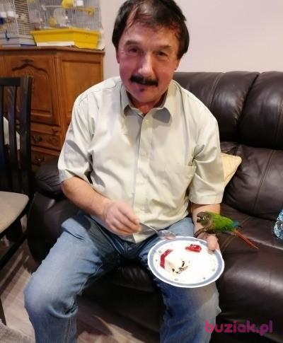 Zdzislaw, Male, 69, Kraków, Polska, Photo: 5