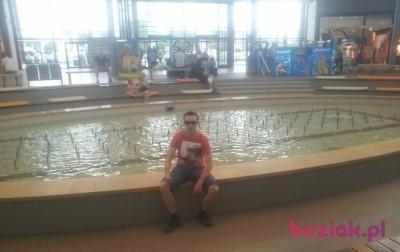 Mateusz, Male, 39, Zabrze, Polska, Photo: 4