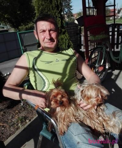 Jan, Mężczyzna, 50, Szprotawa, Polska, Zdjęcie: 5
