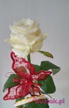 Henryk, Mężczyzna, 41, Kielce, Polska, Zdjęcie: 4