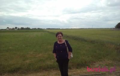 Barbara, Female, 66, Tuchola, Polska, Photo: 3
