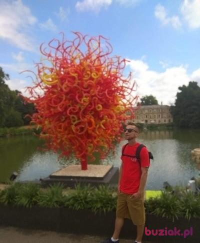 Rafal, Mężczyzna, 37, Wielka Brytania, Zdjęcie: 3