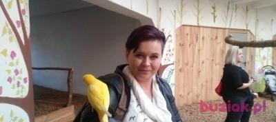 Agnieszka, Kobieta, 46, Chorzów, Polska, Zdjęcie: 2