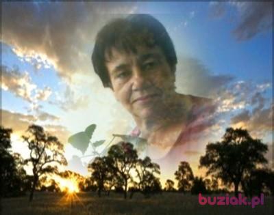 Bernardetta, Kobieta, 69, Katowice, Polska, Zdjęcie: 2