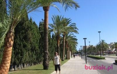 paweł, Male, 45, Poznań, Polska, Photo: 1