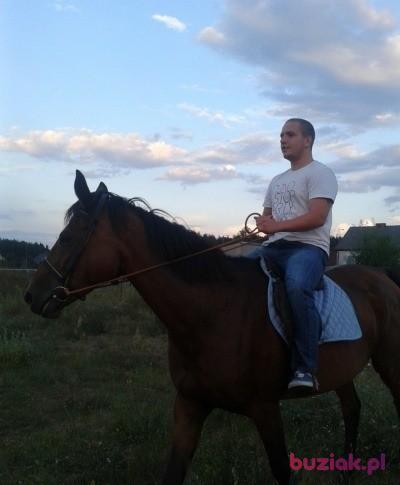 Krzysztof , Mężczyzna, 33, Częstochowa, Polska, Zdjęcie: 2
