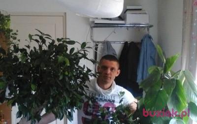 guber, Male, 49, Holandia, Photo: 3