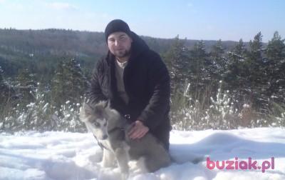 Maciej, Mężczyzna, 37, Gdynia, Polska, Zdjęcie: 3