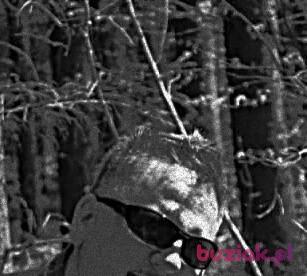 Andre, Mężczyzna, 54, Hajnówka, Polska, Zdjęcie: 1